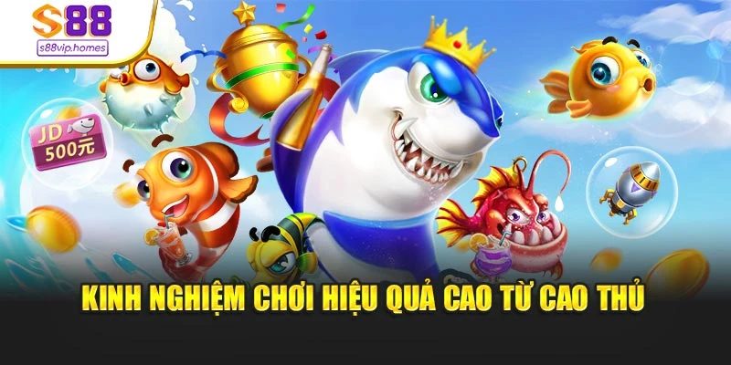 Kinh nghiệm chơi hiệu quả cao từ cao thủ