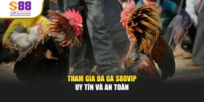 Tham gia đá gà s88vip uy tín và an toàn